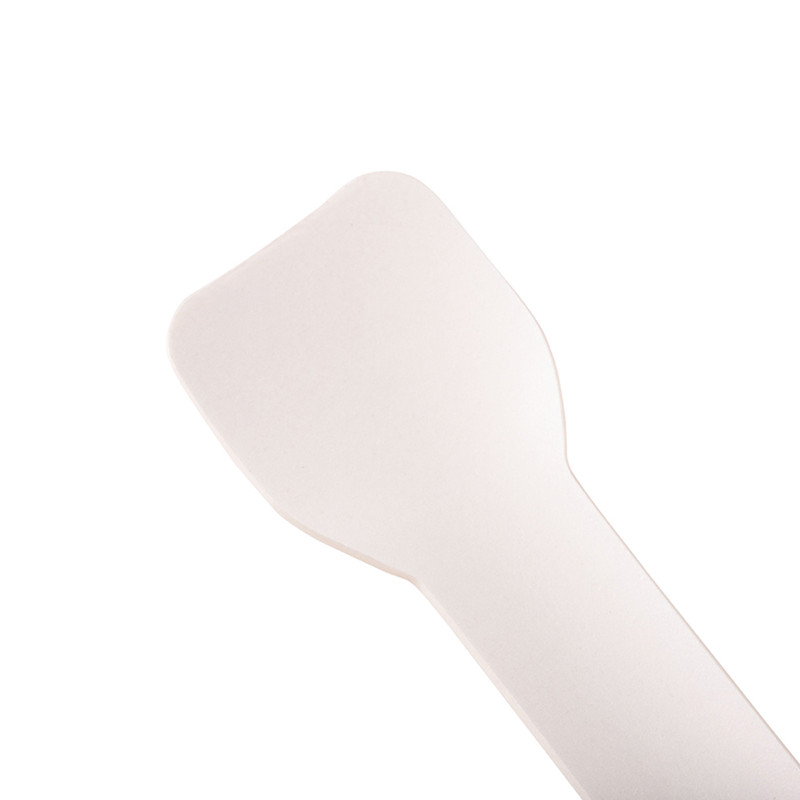 Biodegradable Colorful Paperboard Ice Cream Spoon