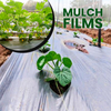 FILM Grade-ZB105-PBAT Resin with Modifications for Mulch Film Application