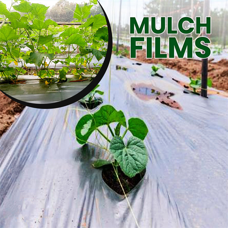 Biodegradable Plastic Mulch Film