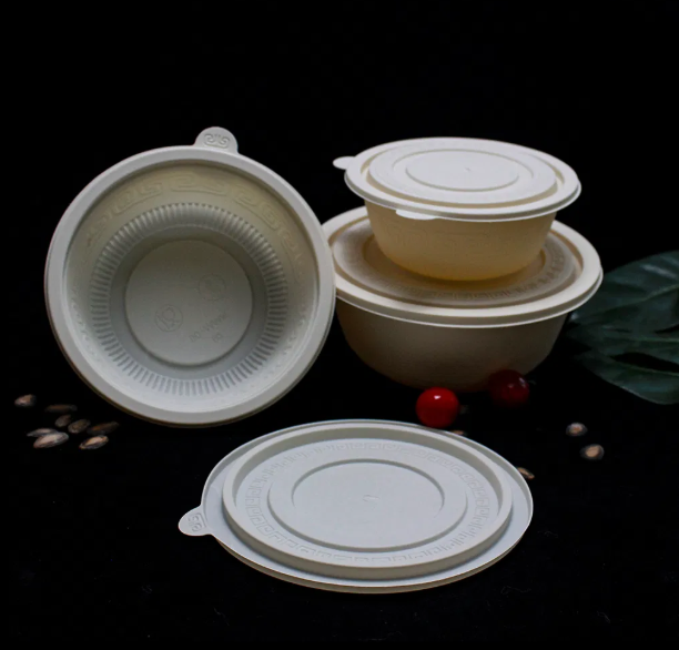 Green Disposable Noodle Bowls – Renewable Bagasse Material & Oil-Resistant