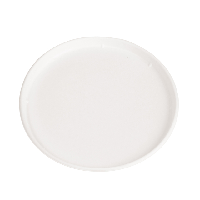 Disposable Tableware Compostable Bagasse 8′ Inch Round Plates
