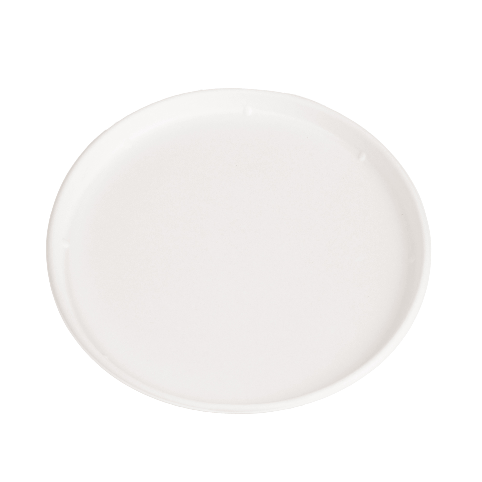 Disposable Tableware Compostable Bagasse 8′ Inch Round Plates