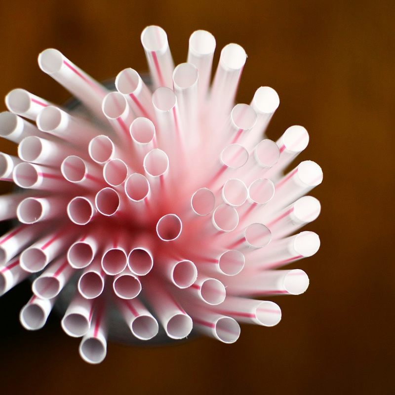 Special Biodegradable Materials for Drinking Straws