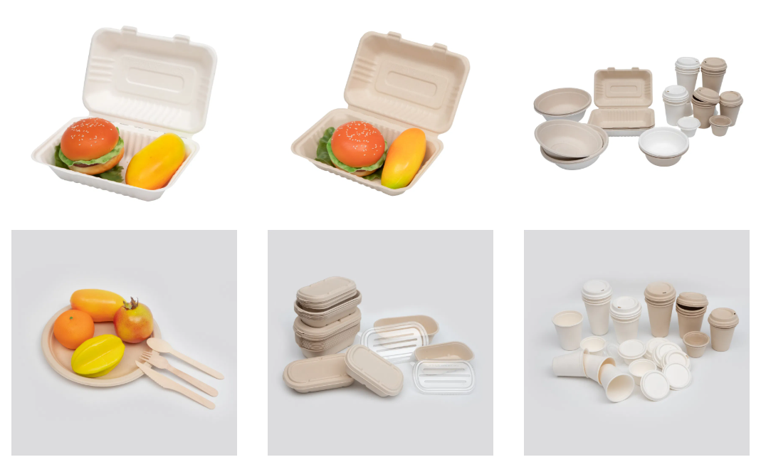 Delivery of Disposable Lunch Container Sugarcane Bagasse Pulp Fast Food ...