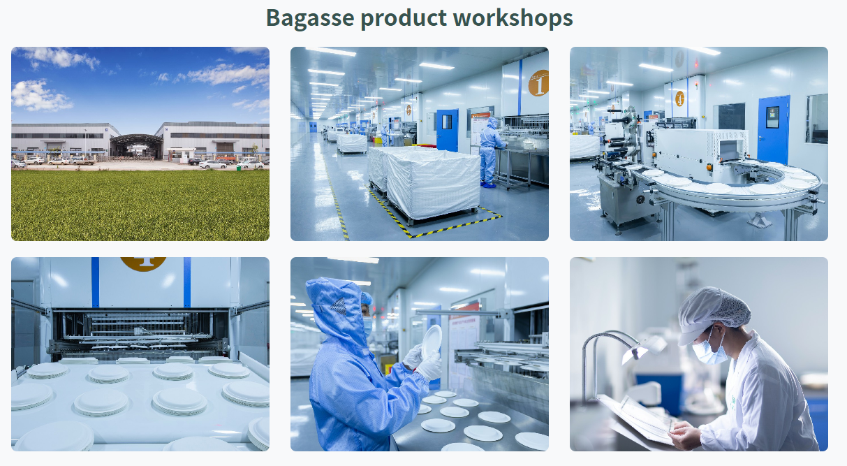 bagasse factory