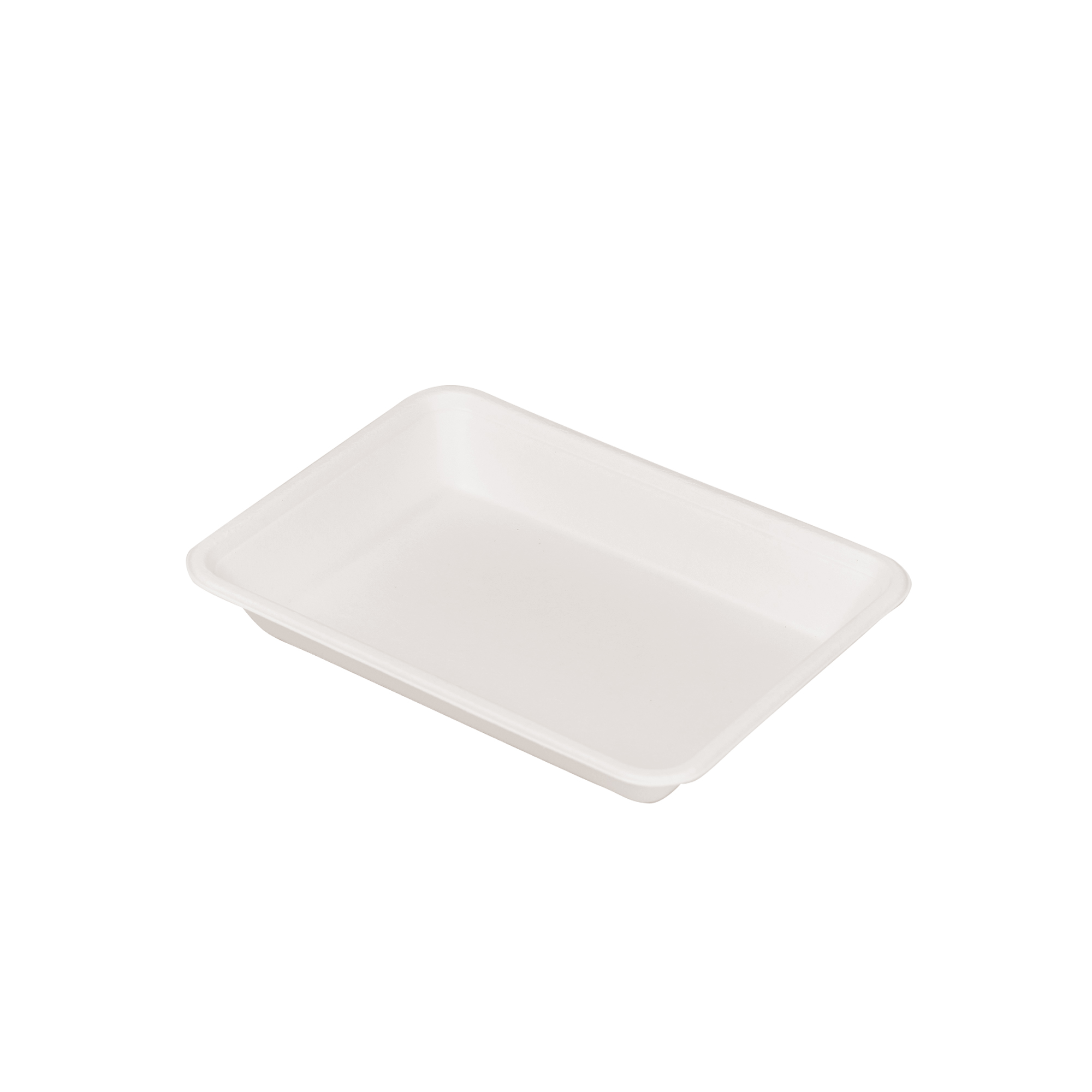 Disposable Biodegradable Compostable Sugarcane Bagasse Tableware Vegetable Fruit Trays