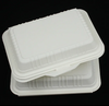 Green Disposable Clamshell Containers – BPI Certified Compostable Packaging