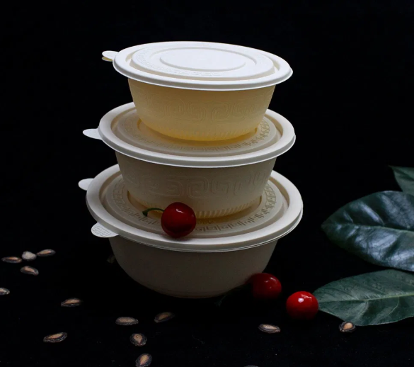 Green Disposable Noodle Bowls – Renewable Bagasse Material & Oil-Resistant