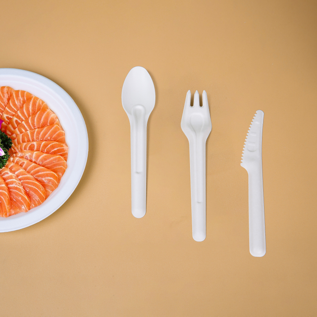 Environmentally Friendly Biodegradable Pulp Molded Sugarcane Knives Forks Spoons