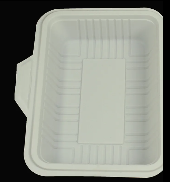 Green Disposable Clamshell Containers – BPI Certified Compostable Packaging