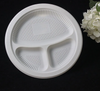 Disposable Biodegradable Plates Sugarcane Bagasse Paper Pulp Mould Plates