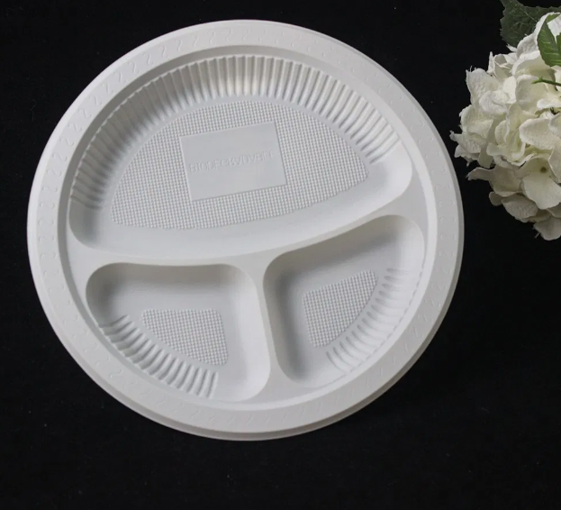 Disposable Biodegradable Plates Sugarcane Bagasse Paper Pulp Mould Plates