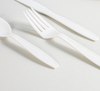 CPLA Forks & Spoons - Commercial-Grade Compostable Cutlery for Restaurants & Events