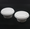 Eco-Friendly Disposable Biobased Bowls – 100% Compostable & Biodegradable Plant Fiber Bowls