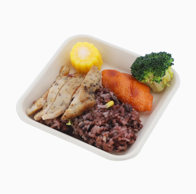 Biodegradable Sugarcane Bagasse Pulp Mini Square Cake Tray