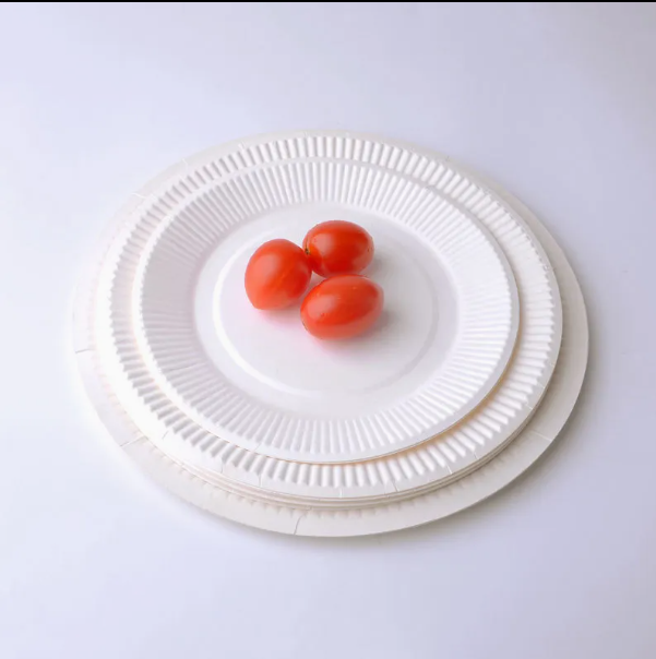 Biodegradable Sugarcane Bagasse Tableware Dish Carry-out Tableware Takeaway Compostable Sugarcane Food Container Pulp Fiber Round Disposable Paper Plate