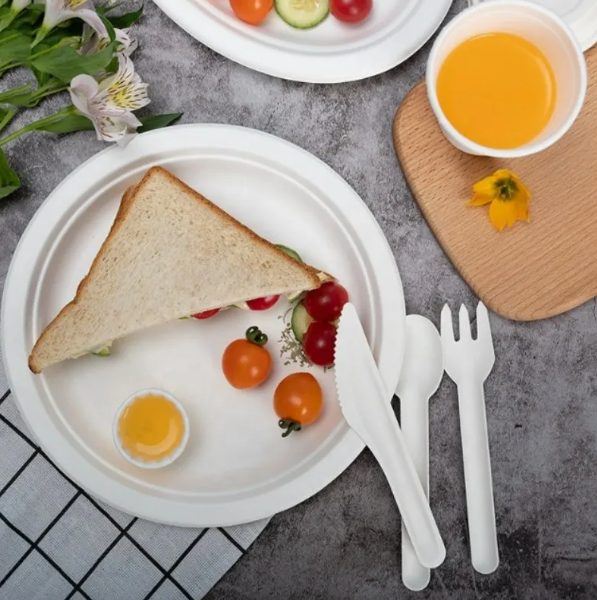 Disposable Tableware Buy Spoon and Fork Set Cake Shovel and Knife Paper Cutlery