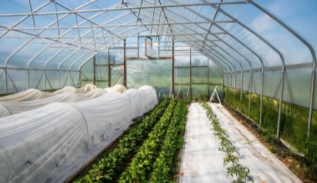 Agriculture