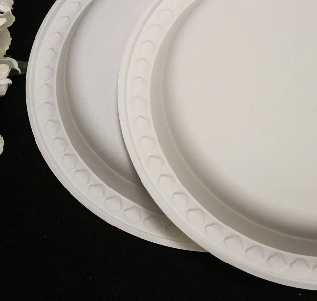 Disposable Biodegradable Plates Sugarcane Bagasse Paper Pulp Mould ...