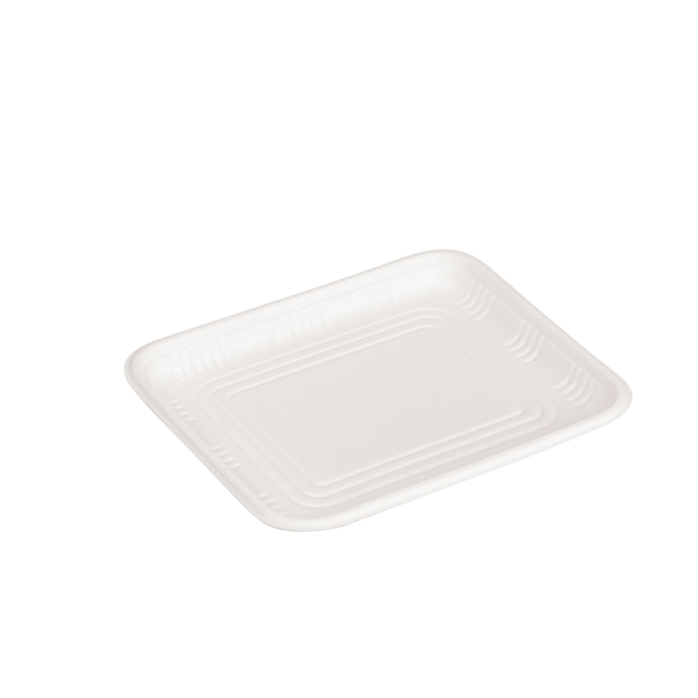 Sugarcane Pulp Packaging for Food Disposable Food Container Bagasse Tableware Take Away Fast Lunch 