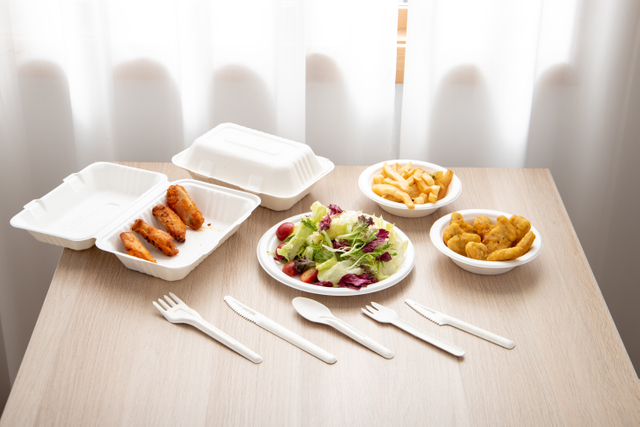 Hot Sale Bagasse Compostable Food Packing Disposable Clamshell Box Biodegradable Pulp Tray Disposable Lunch Box