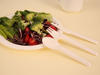 Biodegradable Disposable Tableware Sugarcane Spoons Forks Knives