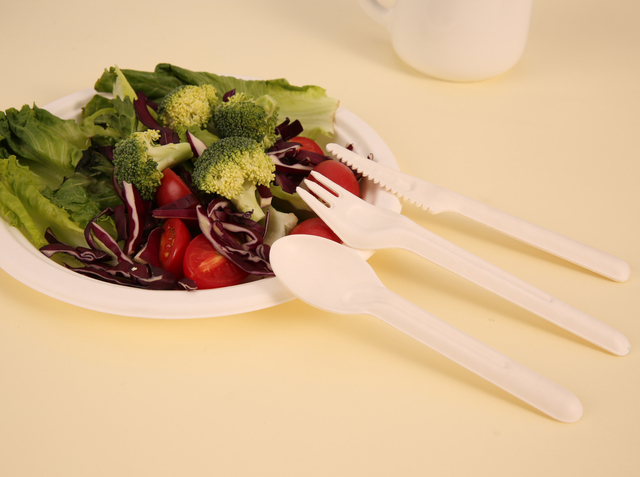 Biodegradable Disposable Tableware Sugarcane Spoons Forks Knives