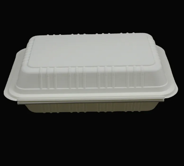Green Disposable Clamshell Containers – BPI Certified Compostable Packaging