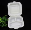 Eco-Friendly Disposable Biobased Containers – 100% Compostable & Biodegradable Food Boxes