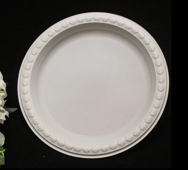 Disposable Biodegradable Plates Sugarcane Bagasse Paper Pulp Mould Plates