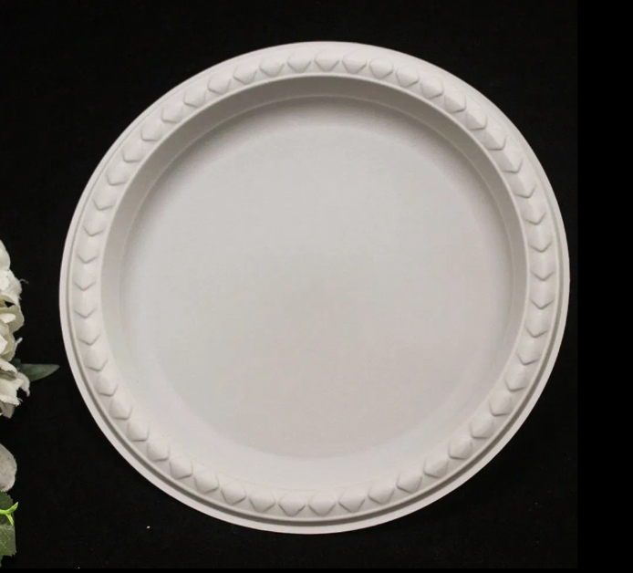 Disposable Biodegradable Plates Sugarcane Bagasse Paper Pulp Mould Plates