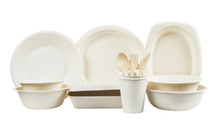 Disposable Tableware