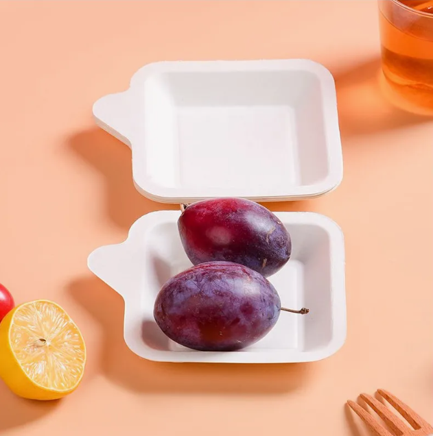 Bagasse Tableware Biodegradable Box Pulp Paper Rectangle Tray 